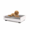En liten brun hund på en grå og hvit Omlet sovesofa
