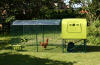 Sett fra siden av Eglu Cube hønsegård med løp, klart deksel og kylling