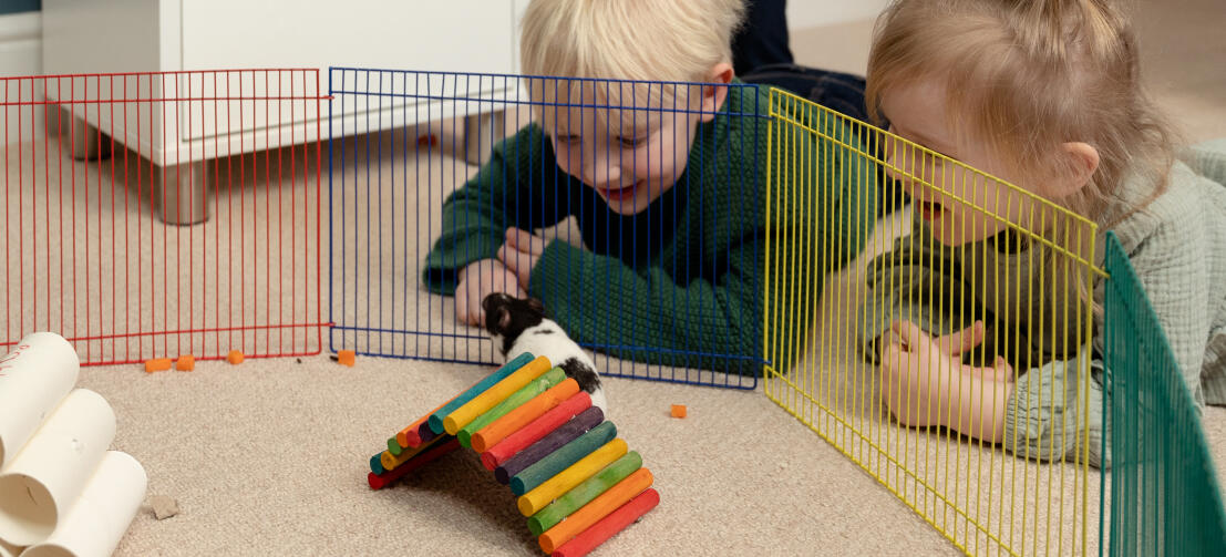 To barn ser på et hamster i en lekegård med fargerike leker.