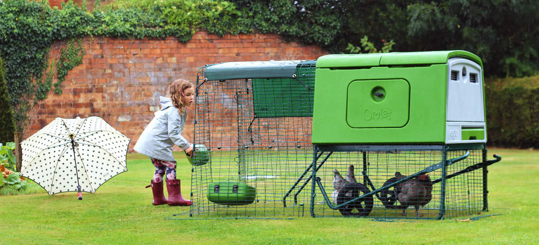 En jente som mater kyllingene sine i en hage med et Cube med et løp