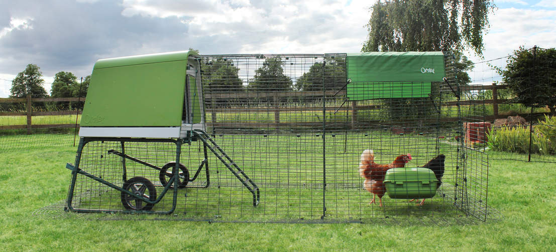 En Eglu Go up moderne hønsegård med run extension.
