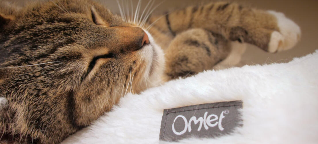 Nærbilde av katt som sover på koselig Maya smultring katteseng