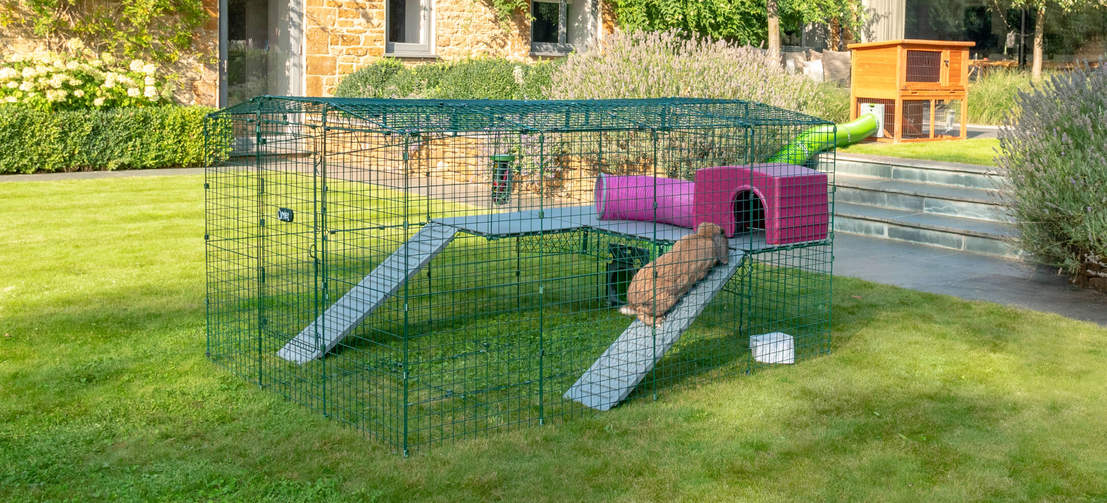 Kanin Zippi på Zippi-plattformer i Omlet Zippi kanin lekegrind