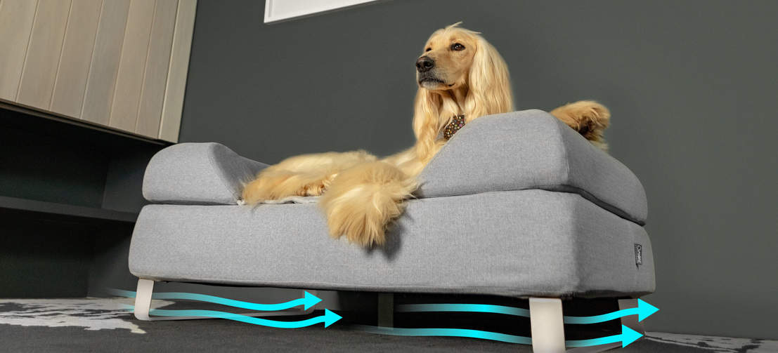 Hund som ligger på Omlet Topology hundeseng med bolster bed topper og hvite hårnålsføtter med luftstrøm