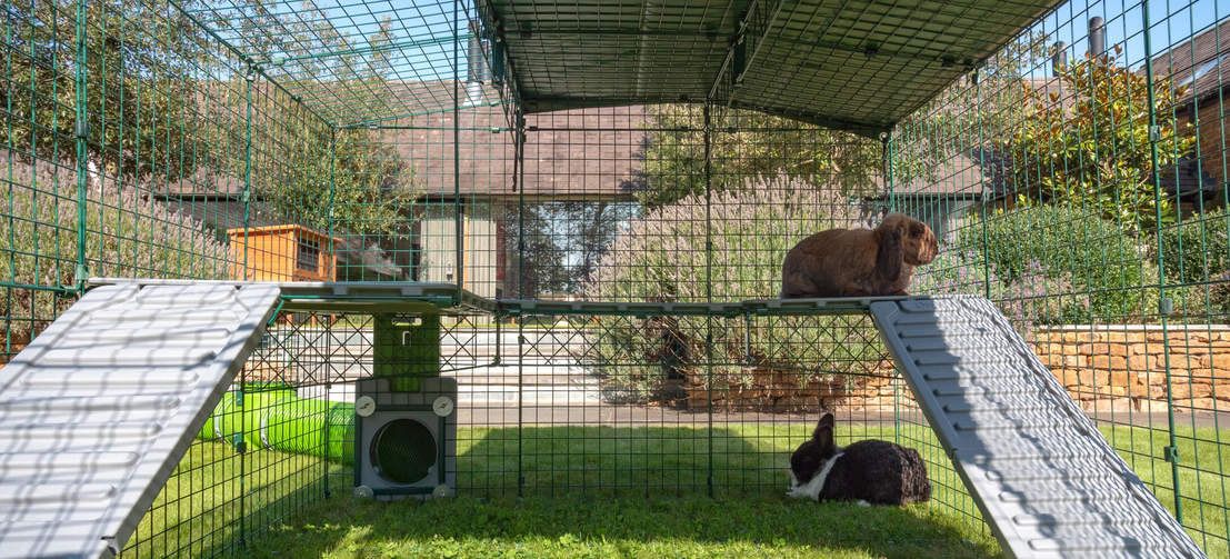 Kaniner inni Omlet Zippi kanin lekegrind, en under og en på Zippi plattformer