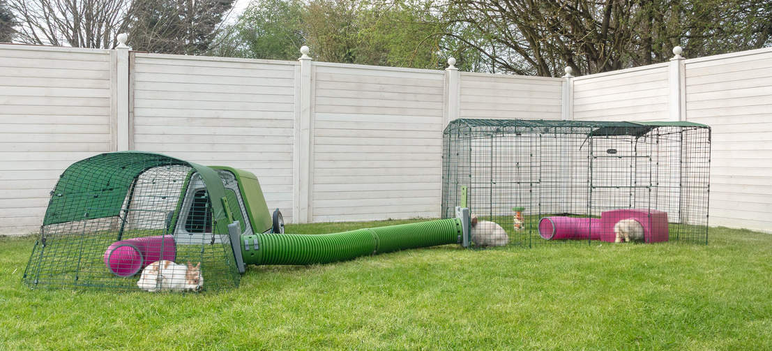 Du kan utvide både bredden og lengden på din Zippi luftegård for å fortsette å bygge på din ultimate lekeplass for kaniner!