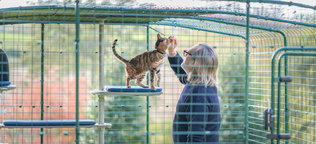 Mann klapper katt inne Omlet catio med Freestyle utendørs kattetre