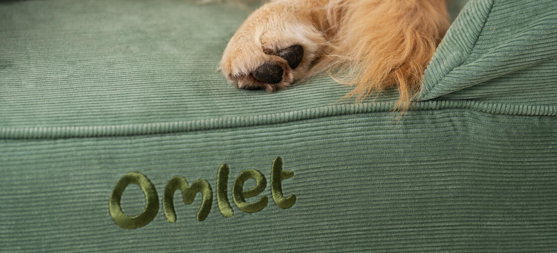 Nærbilde av hundens føtter på en komfortabel og rengjøringsvennlig Omlet bolster hundeseng