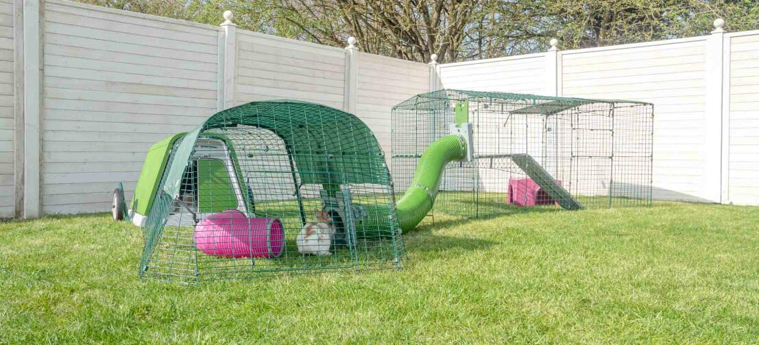 Hage med en grønn kanin Eglu Go hutch, kanin utendørs tur i løp og Zippi tunneler for kaniner