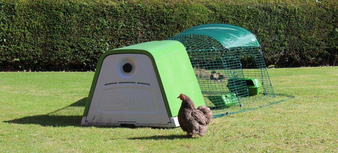 Takket være den doble veggisolasjonen holder hønsehuset Eglu Go hønene kjølige om sommeren og varme om vinteren.