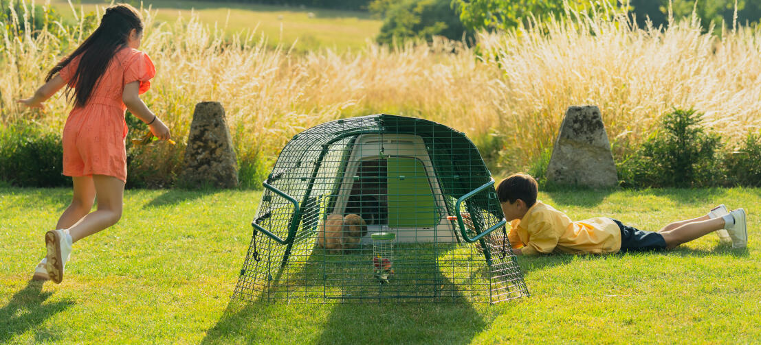 Barn som leker i hagen og samhandler med kaninen sin gjennom nettet i løpegården.