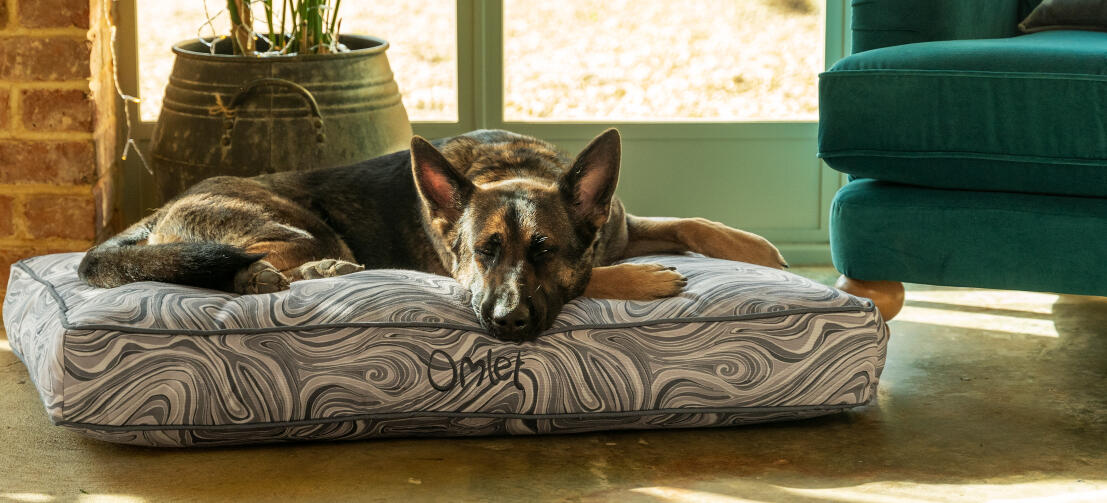 Schæferhund liggende på en pute som er lett å rengjøre Omlet hundeseng med pute