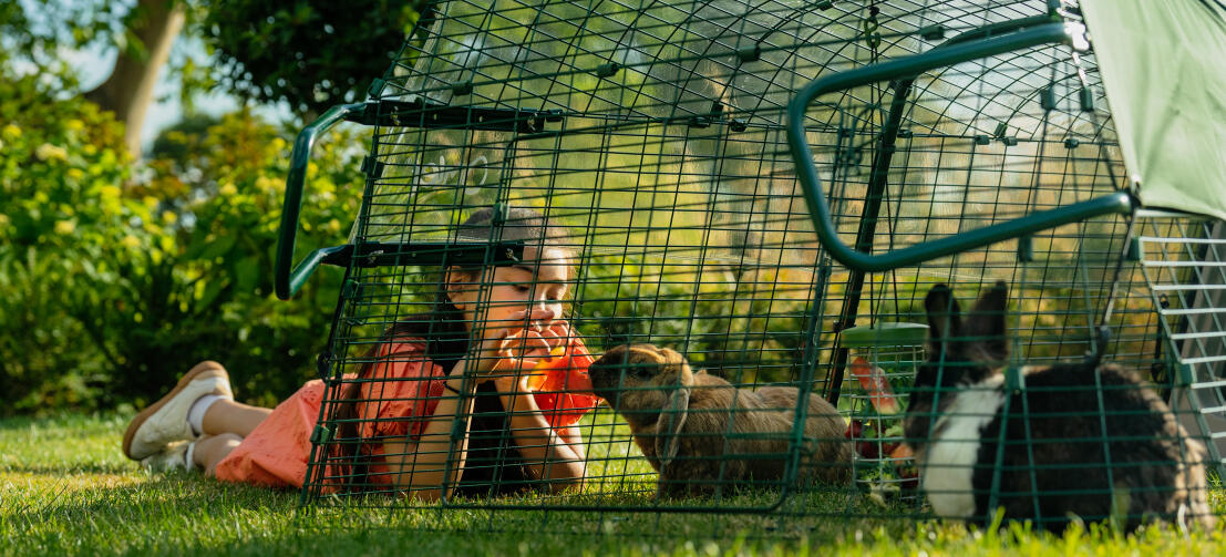 Et barn som mater kaninen sin med vannmelon gjennom nettet i løpegården.