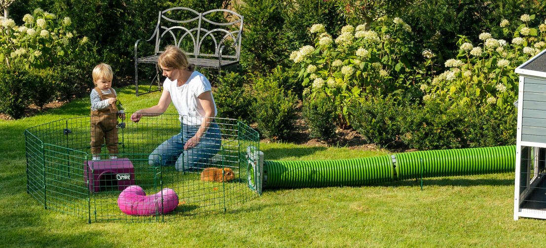 En familie som leker med marsvin i hagen, med Zippi tunneler som forbinder Zippi lekegrinden med en trebinge.