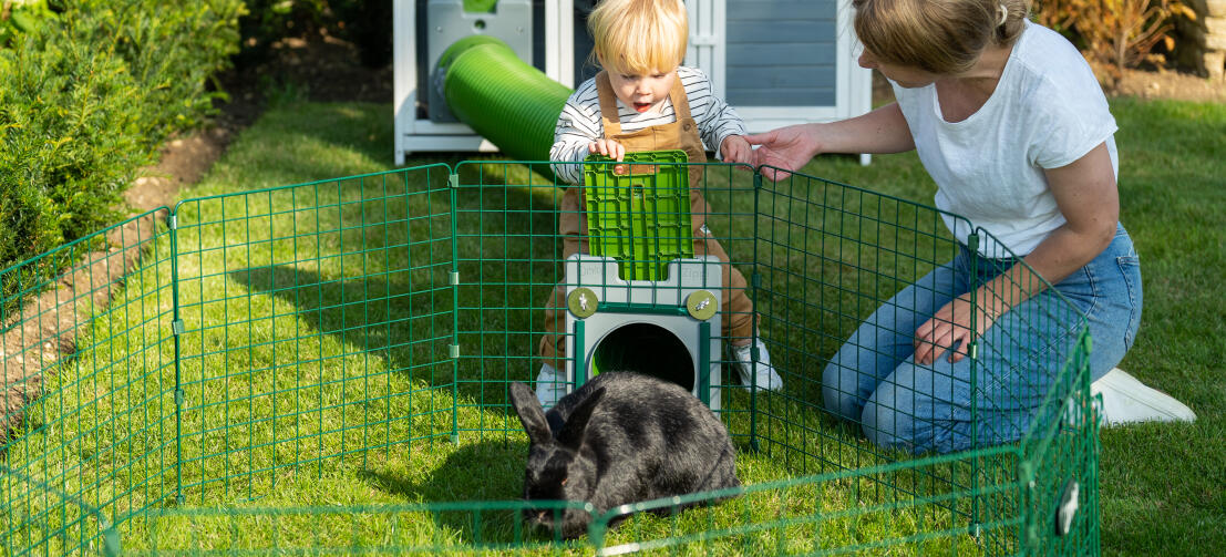 Familie som leker med kaninen sin i en Zippi lekegrind.