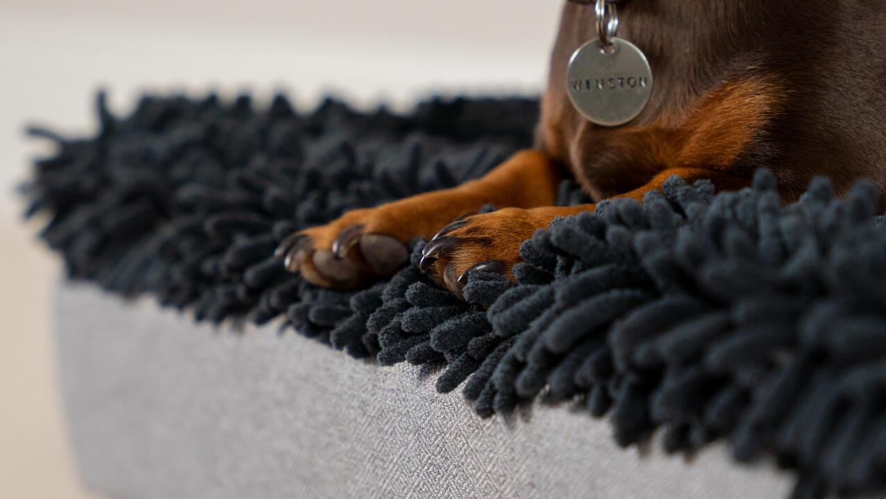 Detalj av poter på et grått mikrofiberunderlag på en Topology hundeseng.