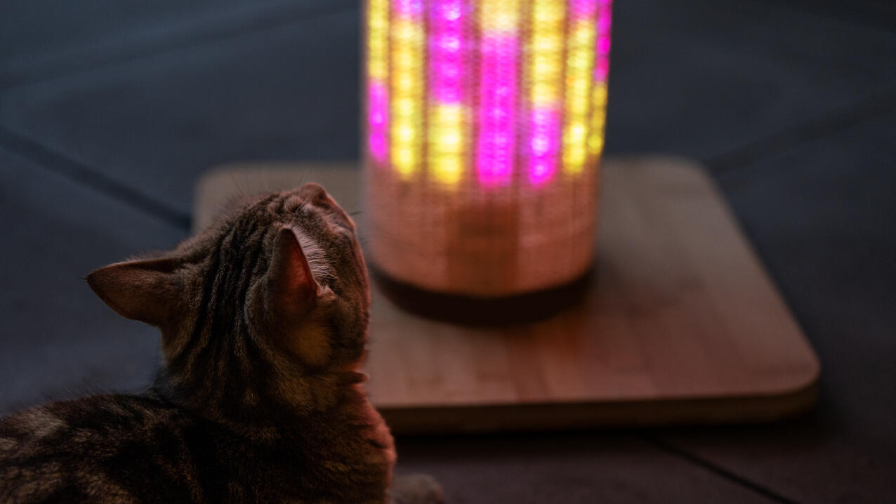 Katt som ser på en rosa og gul lysmodus på Switch cat scratcher