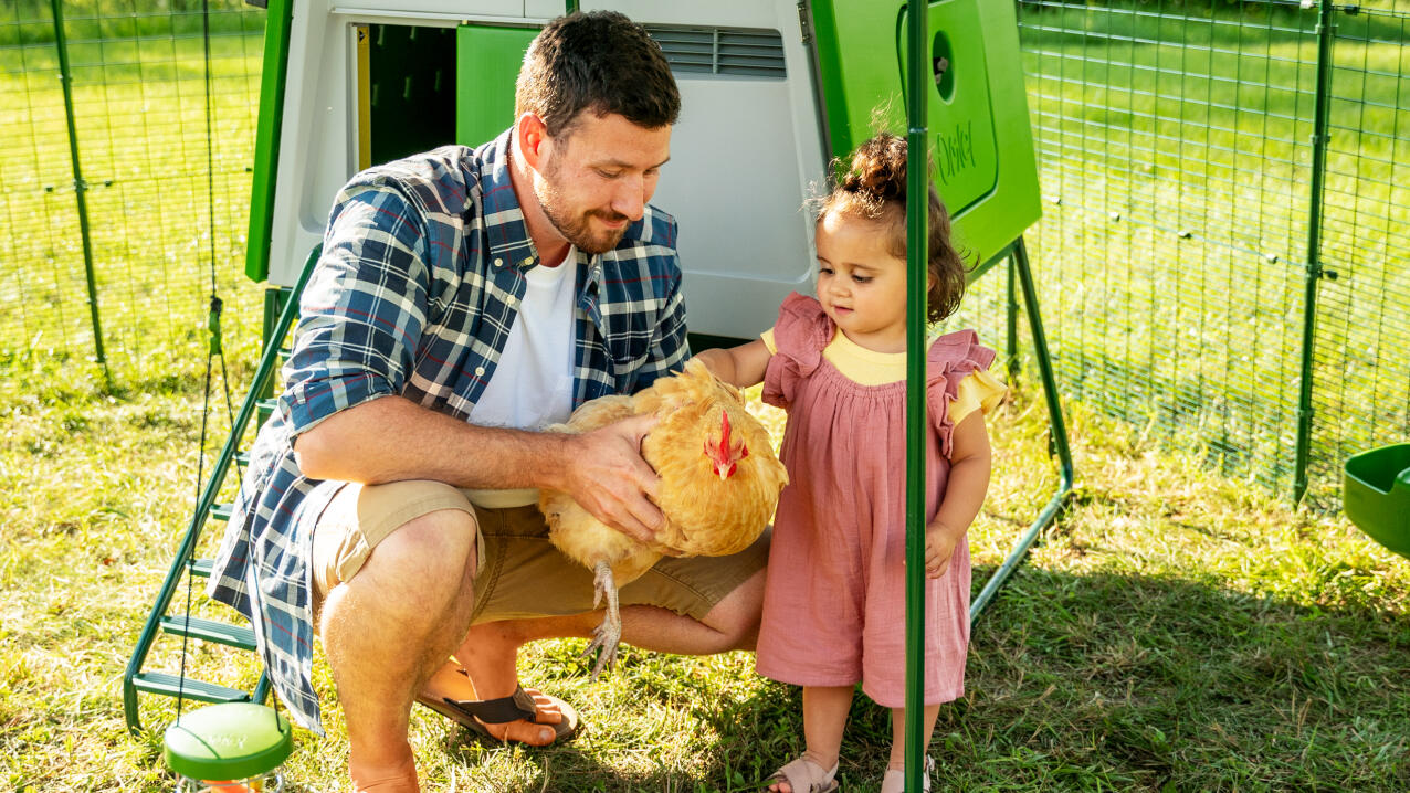 Mann med datter som holder en høne i en hønsegård