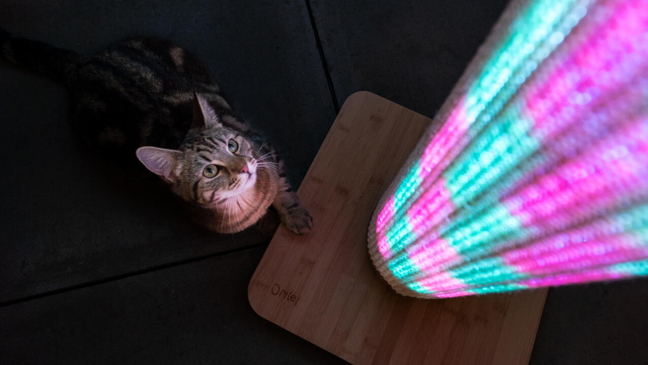 Katt som ser opp på en opplyst Switch kattekløer med rosa og blå lysmodus