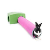 Kanin leker i det grønne Zippi lyet og leketunnelen