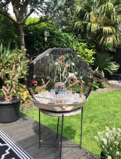 Geo fuglebur med svart bur og krembunn i hagen