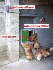 Adapter med Autodoor og masse kyllinger