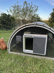 Automatisk kyllingdør