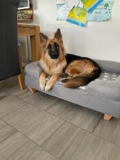 Hopper elsker den nye sengen sin