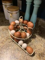 Masse egg på eggskjelet egglagring.