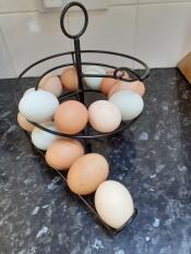 Ser fantastisk ut med alle våre forskjellige fargede egg, en ekte kjøkkenfunksjon!