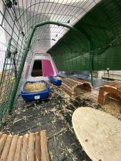 Inne i et kaninhus koblet til en kaninhytte, med nettingpaneler på bakken