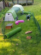 Et kaninoppsett i en hage med en grønn Go og løp