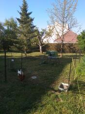 En Go opp hønsegård bak noen hønsegjerde med to høner i en hage