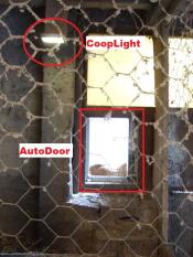 Coop lys og Autodoor