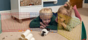 To barn som ligger og ser på hamsteret sitt i en fargerik lekegård.