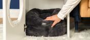 Person som legger svart Maya smultring katteseng inne i Maya innendørs kattehus