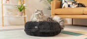 Katt sitter på Omlet Maya smultring katteseng i earl grey