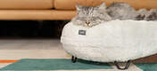 Katt som sover på en Snow hvit soft Lux ury Maya smultring katteseng med svarte hårnålsmetallføtter