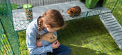 Jente som holder marsvin mens andre marsvin er på Zippi plattformer inne i Omlet Zippi marsvin lekegrind