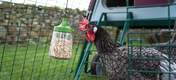 <strong>Poppy</strong> hakkeleke vil gi hønene lyst til å ta runde etter runde i hønsegården