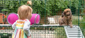 Jente ser på kanin på Zippi plattformer på innsiden av Omlet Zippi kanin lekegrind