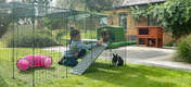 To kaniner og en jente i Omlet Zippi kanin lekegrind med grønt Zippi ly