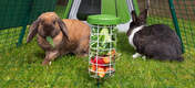Caddi godbitholder for kanin er en renslig og hygienisk måte å mate kaninene dine på siden den holder maten oppe fra bakken