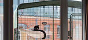 Balkong-luftegården gir katten din et helt sikkert utendørs område de kan nyte
