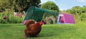 Et Eglu Go hønsehus med innhegning i en hage med tre kyllinger