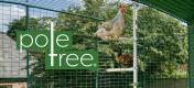 Poletree tilpasset kyllingabborsystem fra Omlet