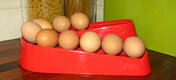 Rød eggrenne på kjøkkenet