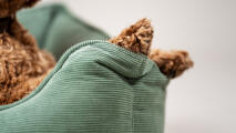 Detalj av en hunds poter som hviler i et mosegrønt torskerede