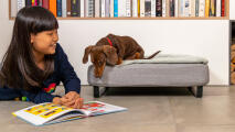 Liten jente som leser en bok ved siden av en pølse på en Topology hundeseng