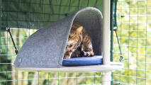 En katt som hviler i plattformhulen som er festet til det utendørs Freestyle kattetreet.